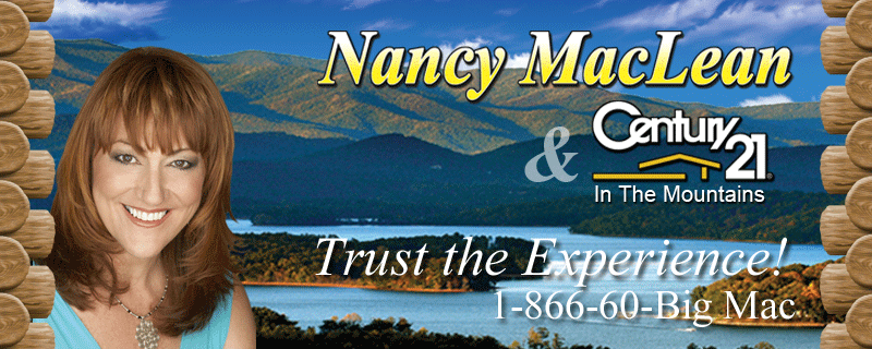 North Georgia Mountain Property