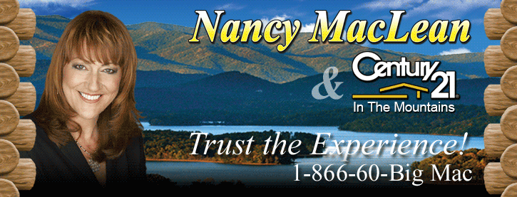 Nancy MacLean - Century 21 Professional Realty Group