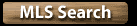 Search Georgia Mountain MLS